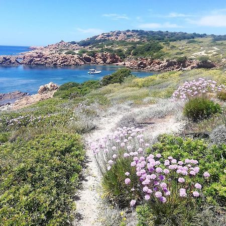 B&B La Tasgia Aggius Εξωτερικό φωτογραφία