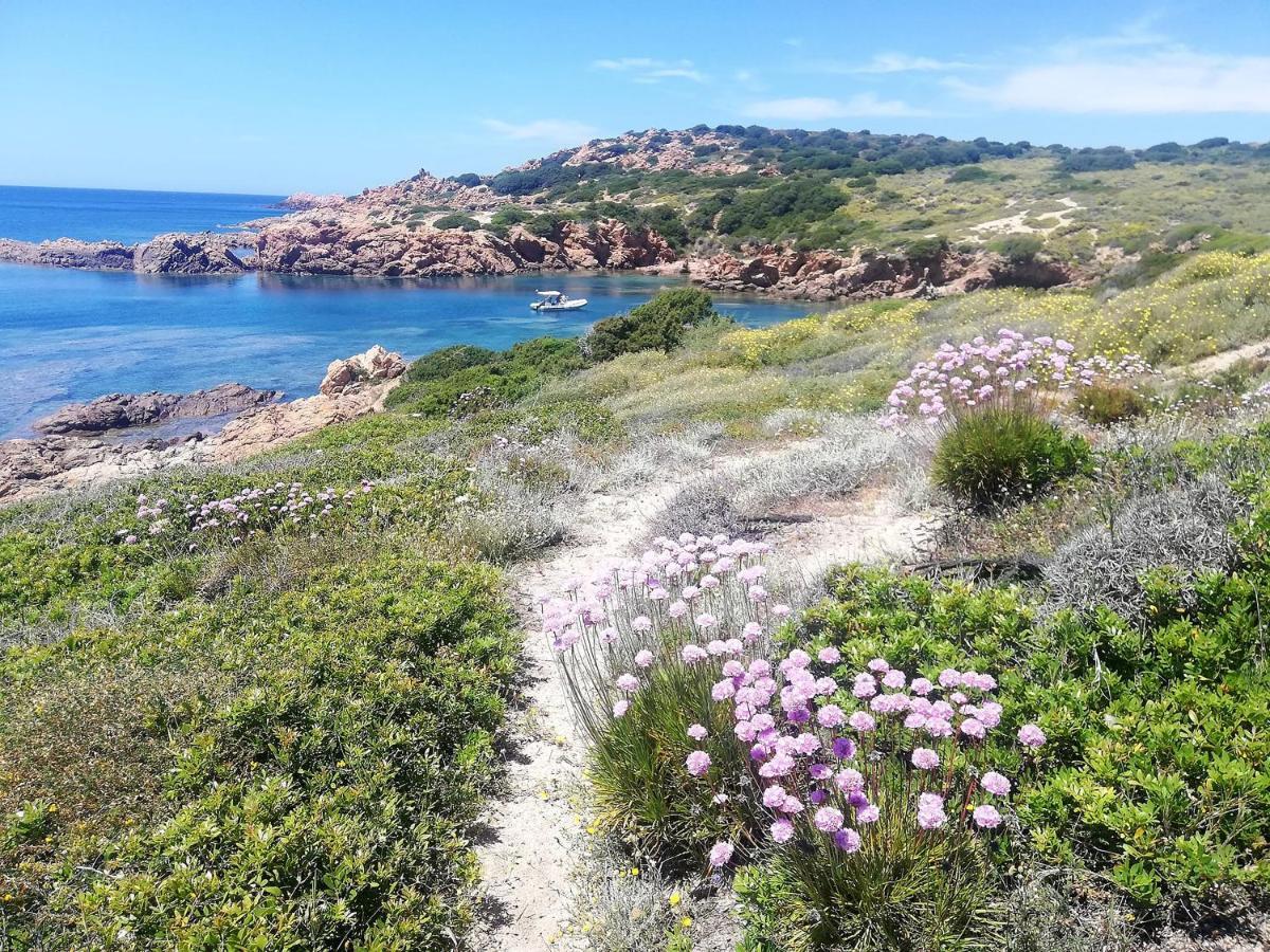 B&B La Tasgia Aggius Εξωτερικό φωτογραφία