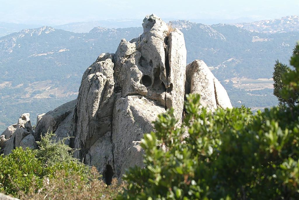 B&B La Tasgia Aggius Εξωτερικό φωτογραφία
