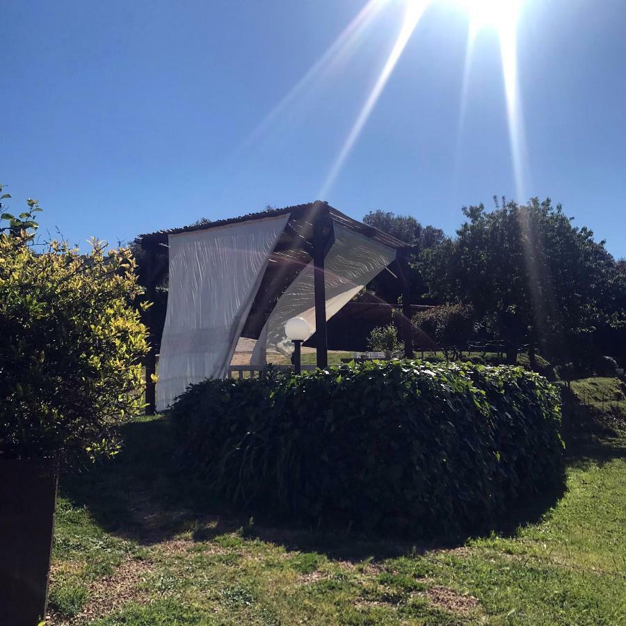 B&B La Tasgia Aggius Εξωτερικό φωτογραφία