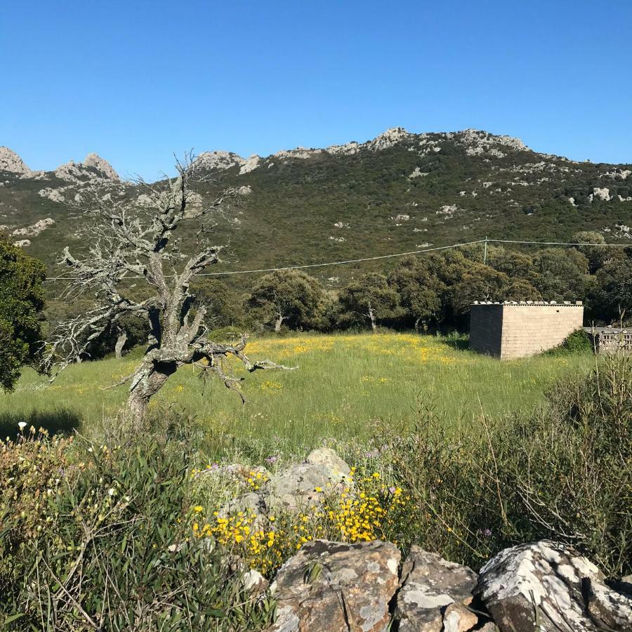 B&B La Tasgia Aggius Εξωτερικό φωτογραφία