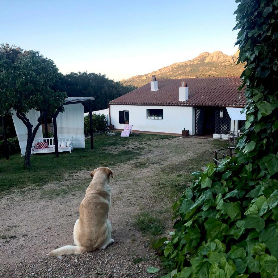 B&B La Tasgia Aggius Εξωτερικό φωτογραφία