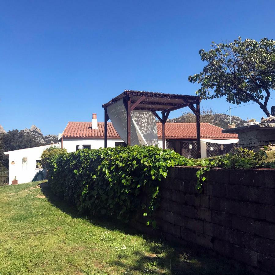 B&B La Tasgia Aggius Εξωτερικό φωτογραφία
