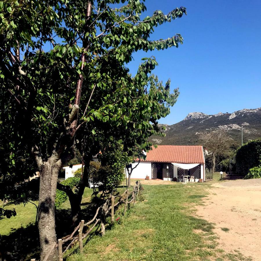 B&B La Tasgia Aggius Εξωτερικό φωτογραφία