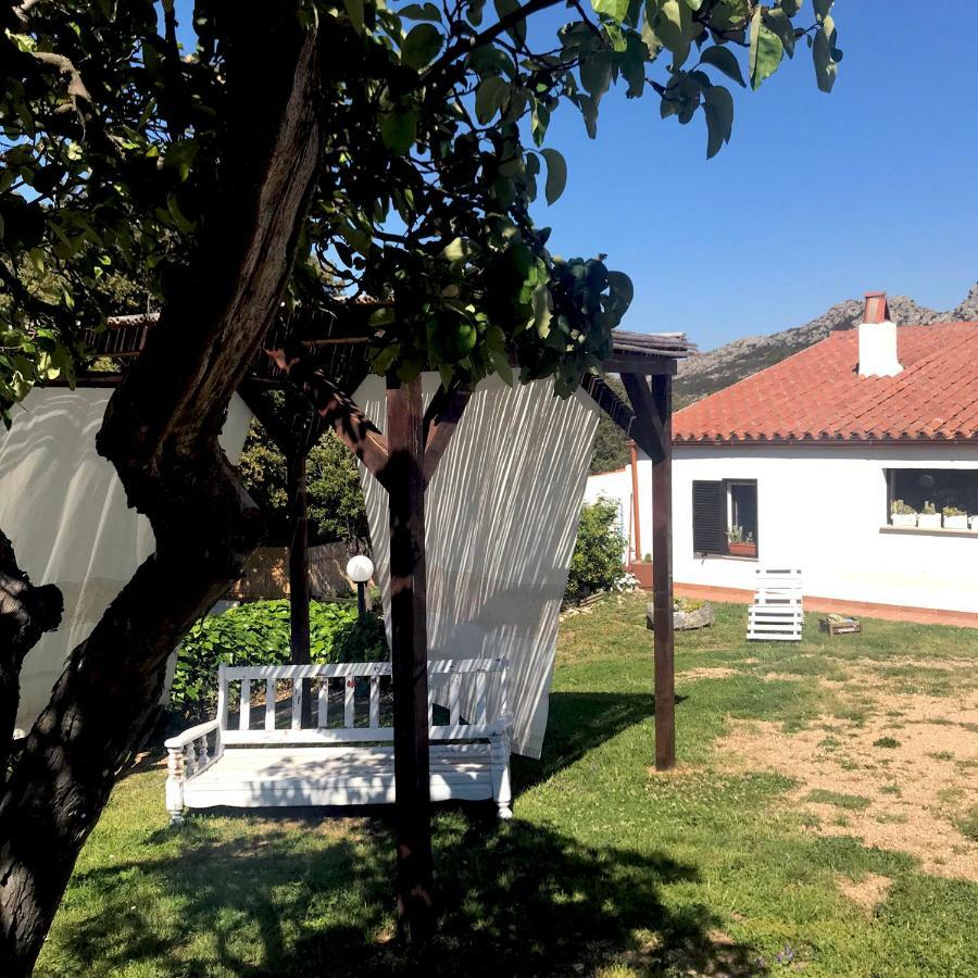 B&B La Tasgia Aggius Εξωτερικό φωτογραφία