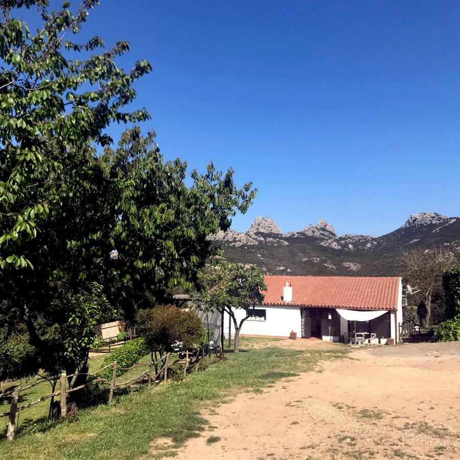 B&B La Tasgia Aggius Εξωτερικό φωτογραφία